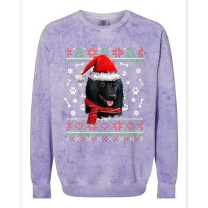 Ugly Sweater Christmas Schipperke Dog Santa Hat Pajama Xmas Colorblast Crewneck Sweatshirt