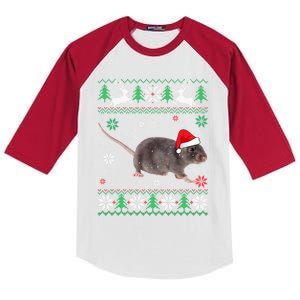 Ugly Sweater Christmas Rat Lover Santa Hat Animals Gift Kids Colorblock Raglan Jersey