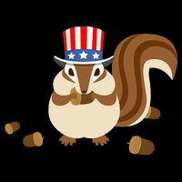Uncle Sam Hat Art Funny 4th of July Patriotic Chipmunk Stripe Pom Pom Beanie