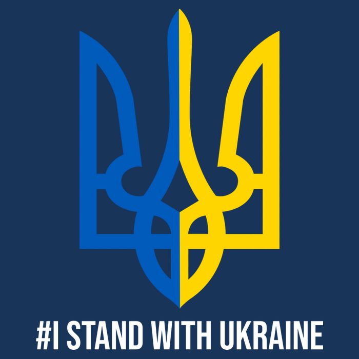 Ukraine Strong I Stand With Ukraine 7 Panel Mesh Trucker Snapback Hat