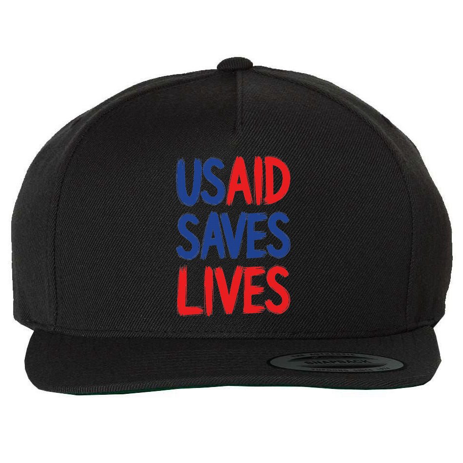 Usaid Saves Lives Us Agency International Development Wool Snapback Cap