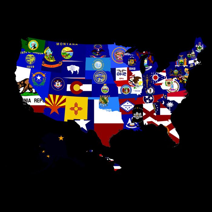 United States Map With Embeded Flags Backpack