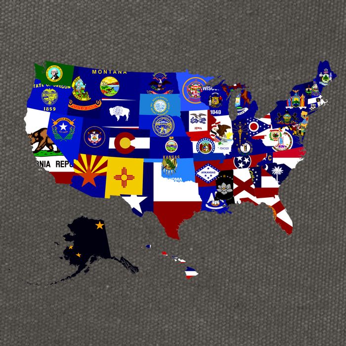 United States Map With Embeded Flags Cotton Canvas Backpack