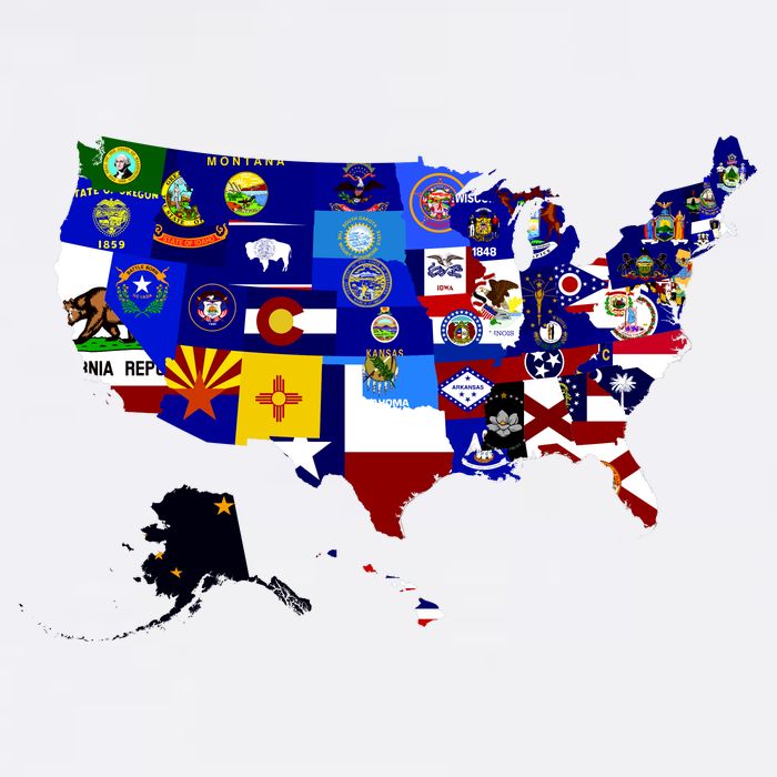 United States Map With Embeded Flags Ladies Essential Flowy Tank