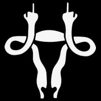 Uterus Shows Middle Finger Feminist Feminism Flexfit Unipanel Trucker Cap