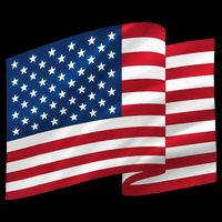 United States Of America Flag Waving Bucket Hat