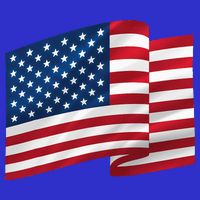 United States Of America Flag Waving 16 in Basic Backpack