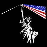 Usa Statue Of Liberty 4th Of July Novelty Funny Patriotic Backpack