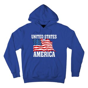 United States Of America Us Flag 4th Of July Gift Hoodie