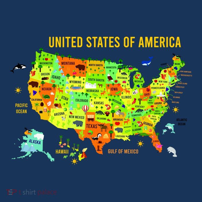 United States Of America Colorful Illustration Apron