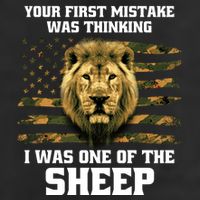 United States Patriot Your First Mistake 7 Panel Mesh Trucker Snapback Hat