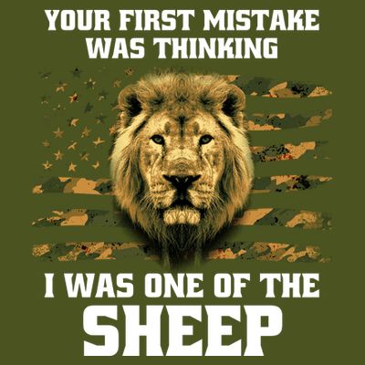 United States Patriot Your First Mistake T-Shirt
