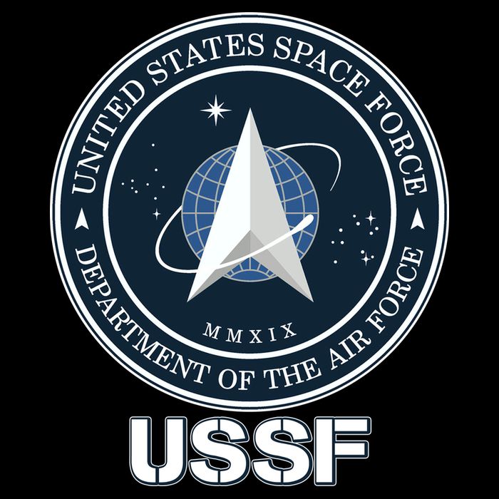 USSF Space Force Dept Of The Air Force Logo Cropped Pullover Crew