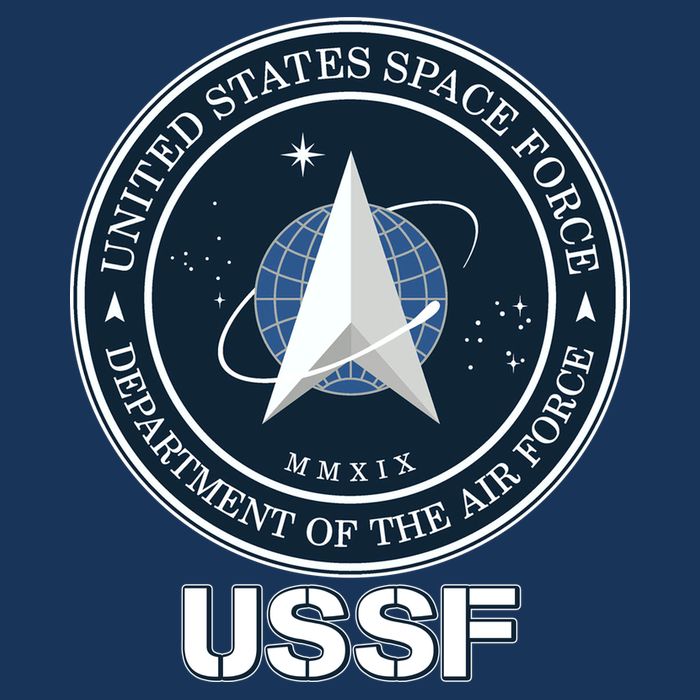 USSF Space Force Dept Of The Air Force Logo 16 in Basic Backpack