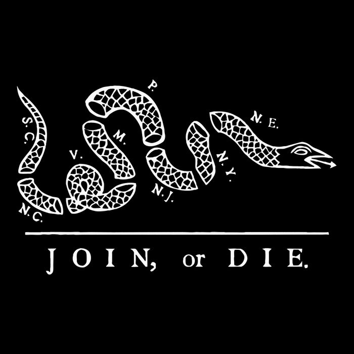United States Thirteen Colonies Join Or Die Snake Cooling Performance Crew T-Shirt