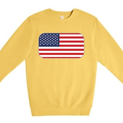 US Team Flag American Clothing For Sports Events Premium Crewneck Sweatshirt