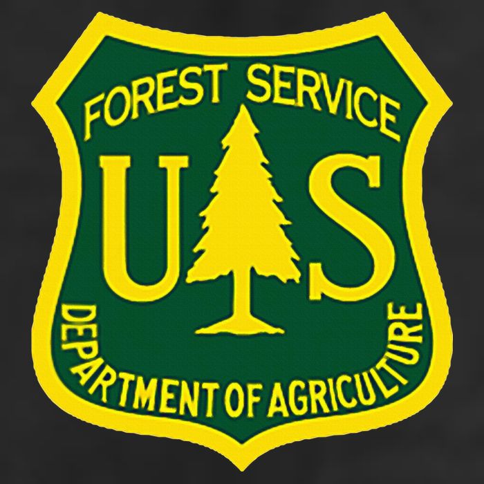 United States Us Forest Service Departt Of Agriculture Adult Drive Performance Visor