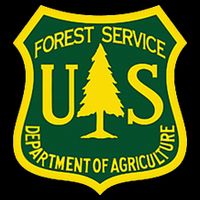 United States Us Forest Service Departt Of Agriculture Women's V-Neck T-Shirt