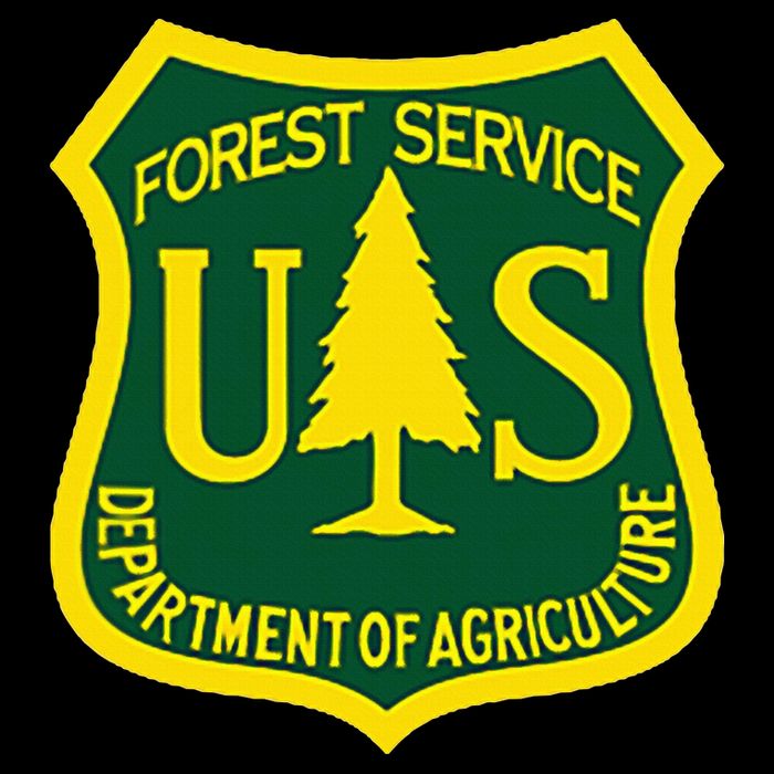 United States Us Forest Service Departt Of Agriculture Women's V-Neck T-Shirt