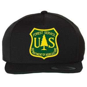 United States Us Forest Service Departt Of Agriculture Wool Snapback Cap