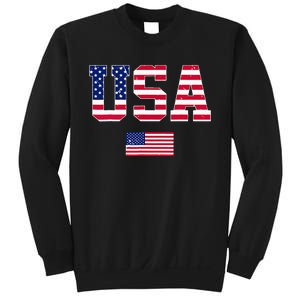 Usa Team 2024 United States American Flag Sport Usa 2024 Sweatshirt