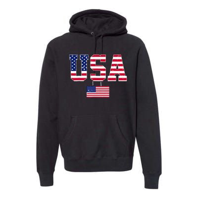 Usa Team 2024 United States American Flag Sport Usa 2024 Premium Hoodie