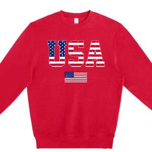 Usa Team 2024 United States American Flag Sport Usa 2024 Premium Crewneck Sweatshirt