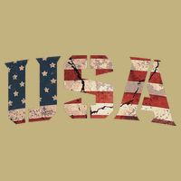 Usa Text Flag American Flag Patriotic 4th Of July Cooling Performance Crew T-Shirt