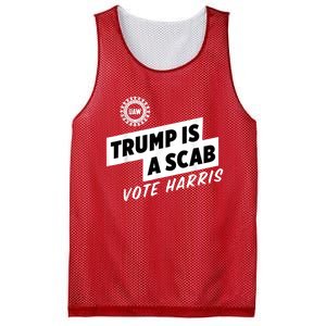 Uaw Trump Is A Scab Vote Harris Mesh Reversible Basketball Jersey Tank