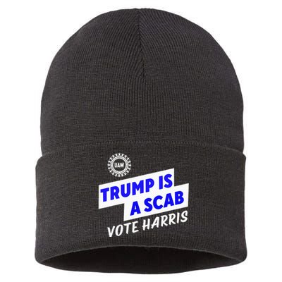 Uaw Trump Is A Scab Vote Harris Walz Sustainable Knit Beanie