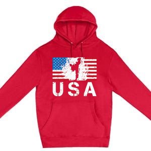 Usa Taekwondo Team American Flag Us Martial Premium Pullover Hoodie