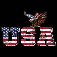 USA US American Flag Patriotic 4th Of July Bald Eagle Merica Sustainable Bucket Hat