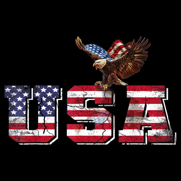 USA US American Flag Patriotic 4th Of July Bald Eagle Merica Sustainable Bucket Hat