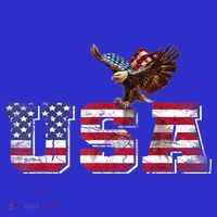 USA US American Flag Patriotic 4th Of July Bald Eagle Merica 16 in Basic Backpack