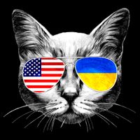 USA Ukraine Flags Sunglasses Cat Poster