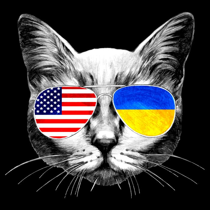 USA Ukraine Flags Sunglasses Cat Poster