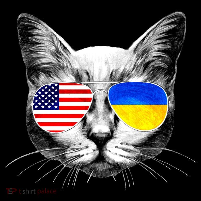 USA Ukraine Flags Sunglasses Cat Womens T-Shirt