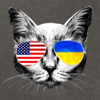 USA Ukraine Flags Sunglasses Cat Cotton Canvas Backpack