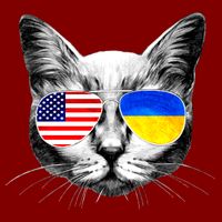 USA Ukraine Flags Sunglasses Cat V-Neck T-Shirt