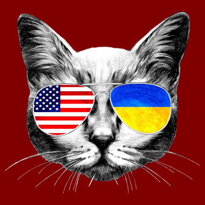 USA Ukraine Flags Sunglasses Cat V-Neck T-Shirt