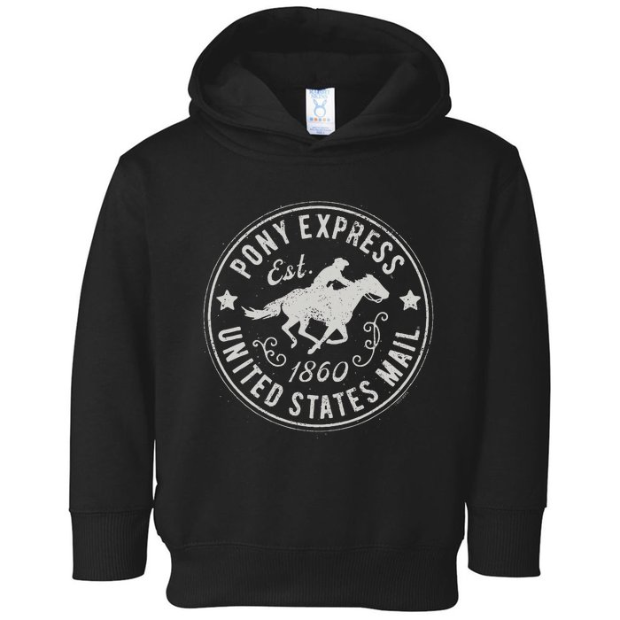 Usps Usps Pony Express Toddler Hoodie