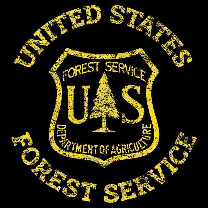 U.S. United States Forest Service Usfs National Flexfit Unipanel Trucker Cap