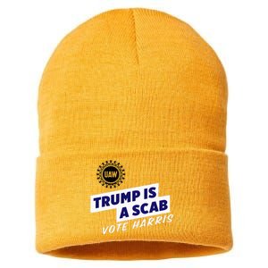 Uaw Union Trump Is A Scab Vote Kamala Harris Funny Uaw Red Sustainable Knit Beanie