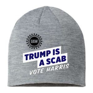 Uaw Union Trump Is A Scab Vote Kamala Harris Funny Uaw Red Sustainable Beanie