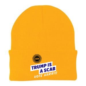 Uaw Union Trump Is A Scab Vote Kamala Harris Funny Uaw Red Knit Cap Winter Beanie