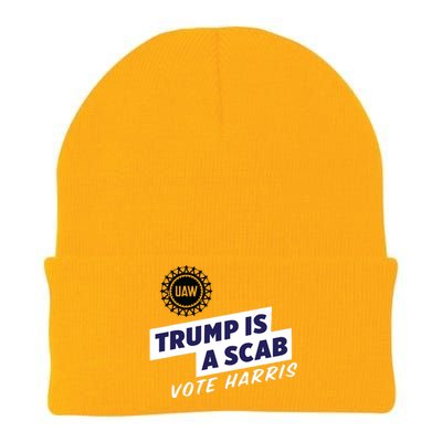 Uaw Union Trump Is A Scab Vote Kamala Harris Funny Uaw Red Knit Cap Winter Beanie