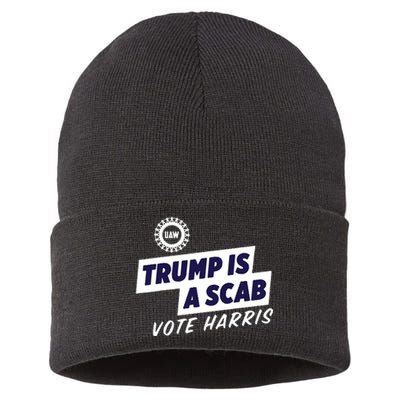 Uaw Union Trump Is A Scab Vote Kamala Harris Funny Uaw Red Sustainable Knit Beanie