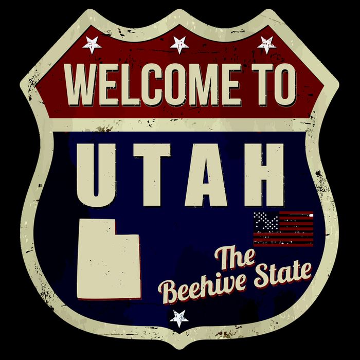 Utah Vintage Metal Road Sign Logo Womens Tank Top