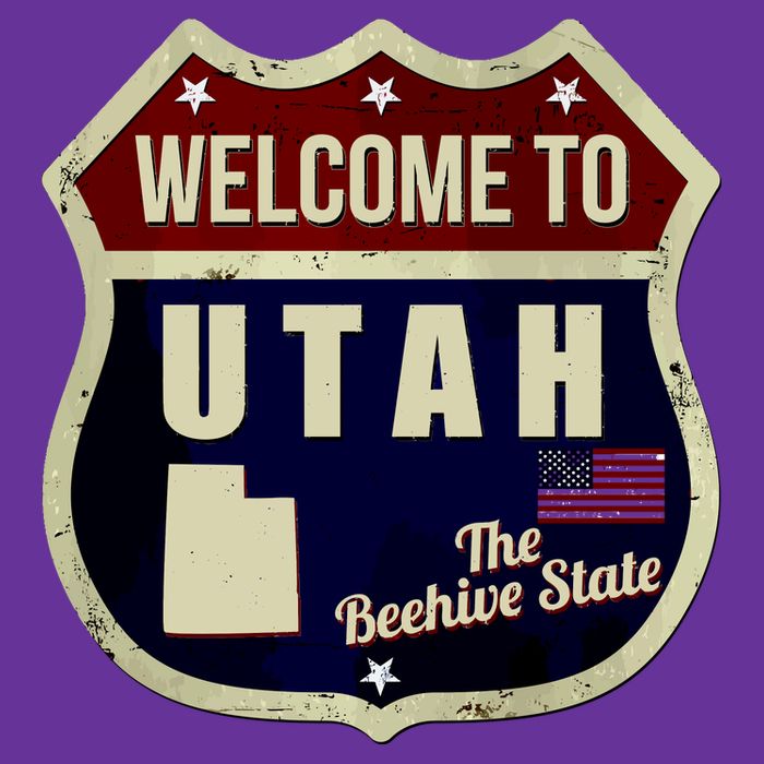 Utah Vintage Metal Road Sign Logo Button