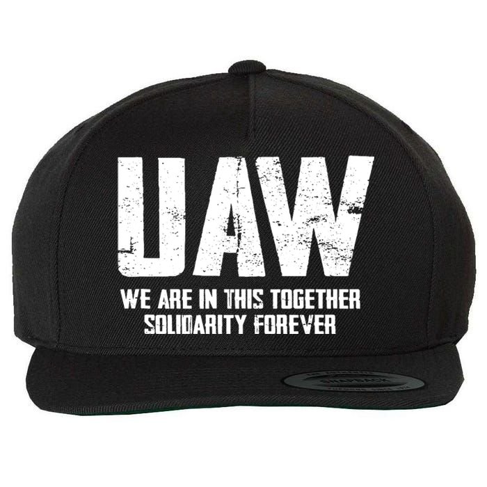 UAW We Are In This Together Solidarity Forever Wool Snapback Cap